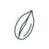 Neem Seed